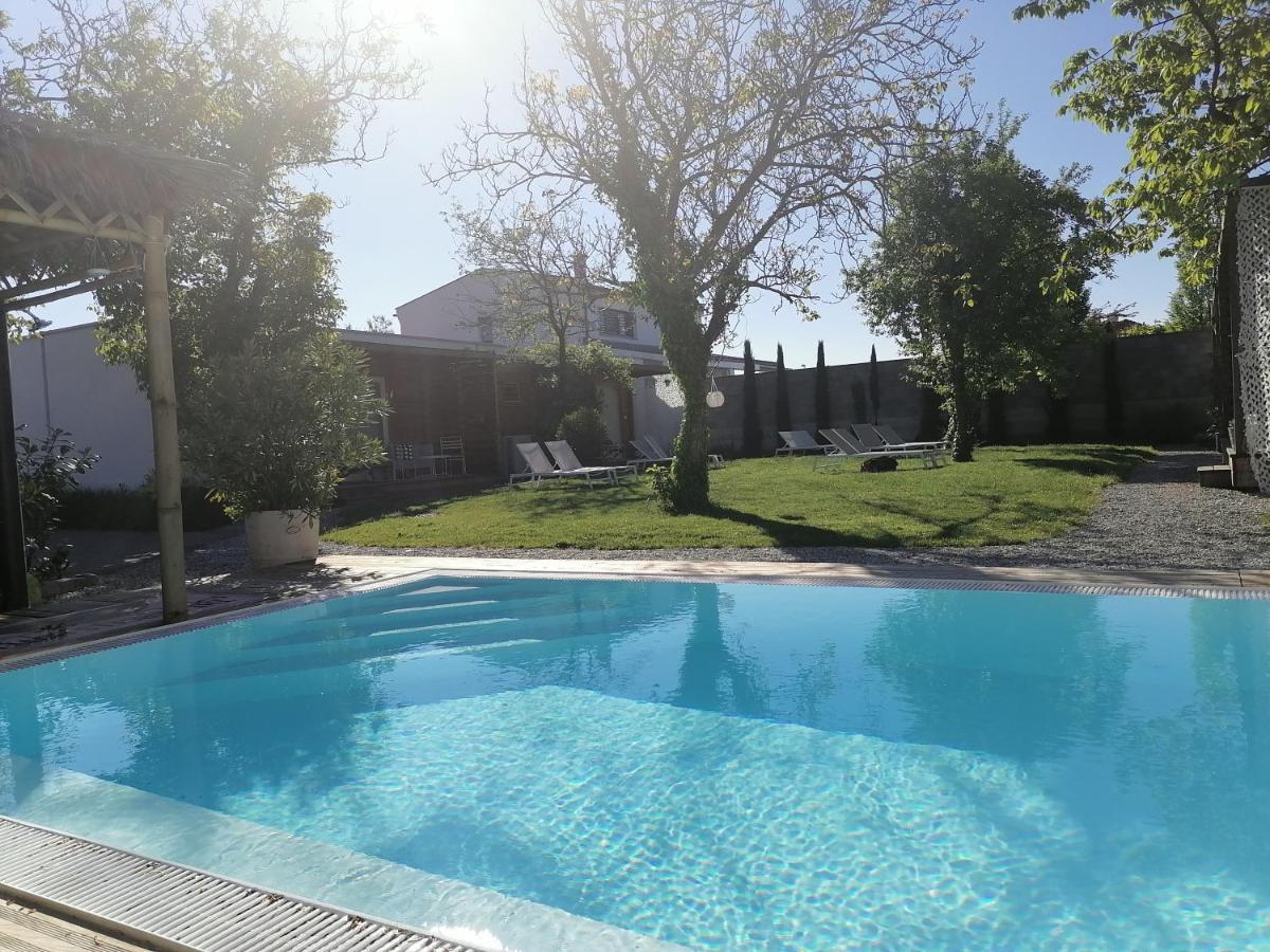 The Parcels Hotel - Adults Only Podersdorf am See Zewnętrze zdjęcie